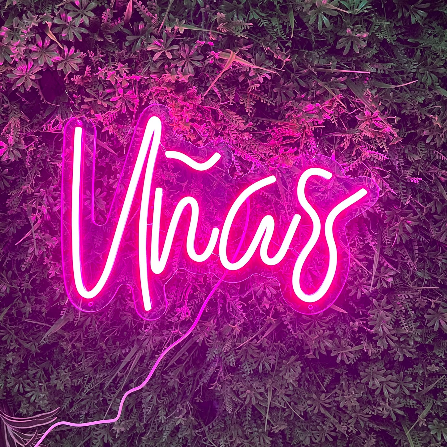✨Pink Neon Beauty LED Sign✨