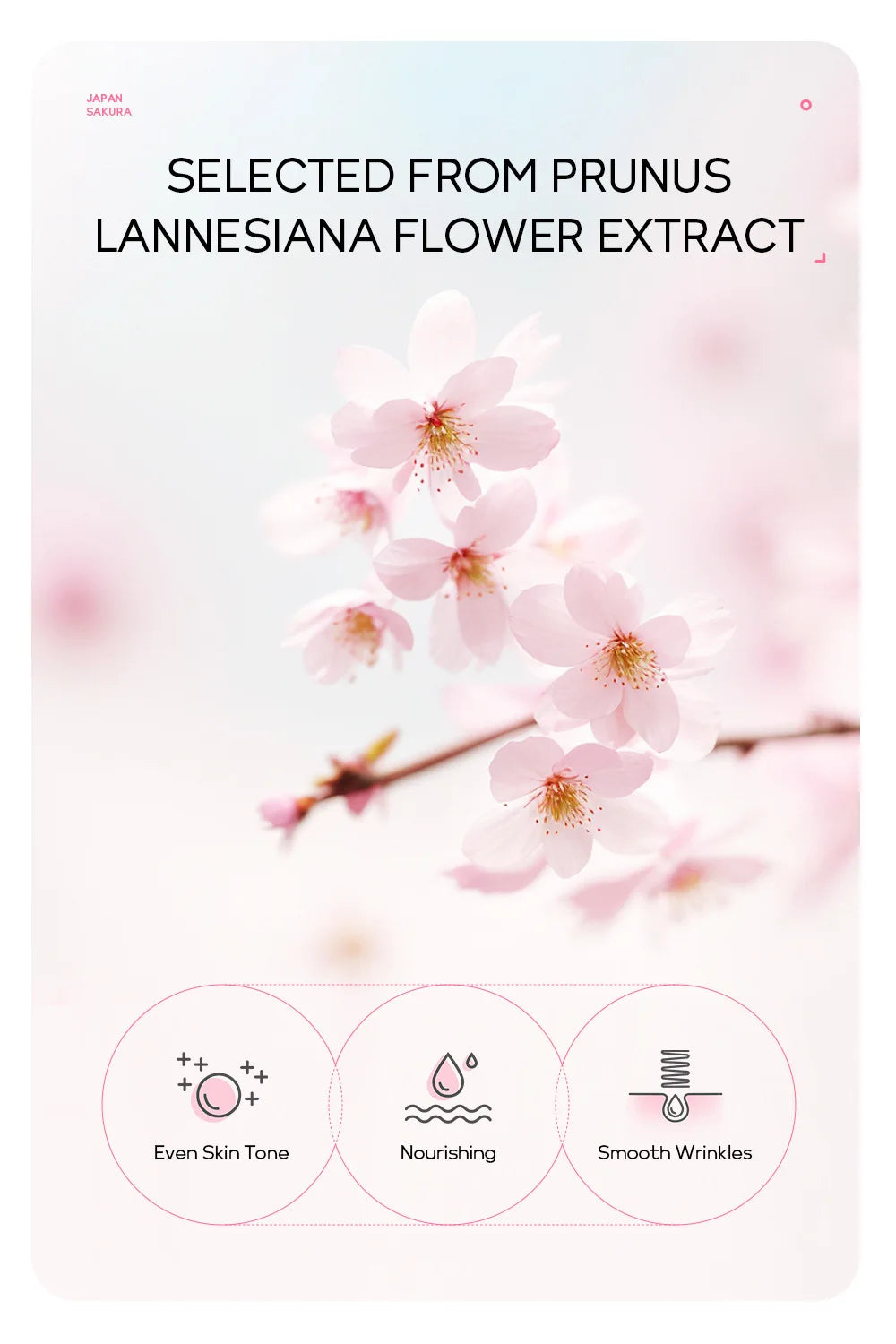 ✨24K Gold & Sakura Peel-Off Face Mask✨